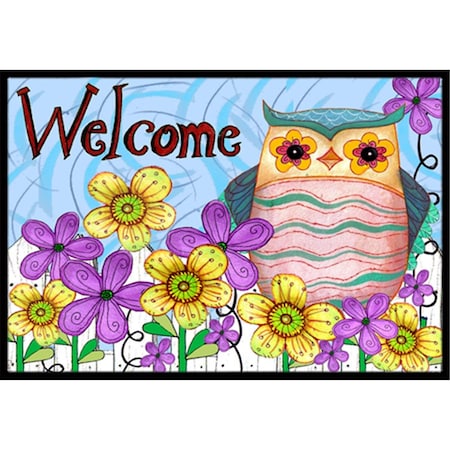 Jensendistributionservices Welcome Owl Indoor & Outdoor Mat, 18 x 27 in. MI2556382